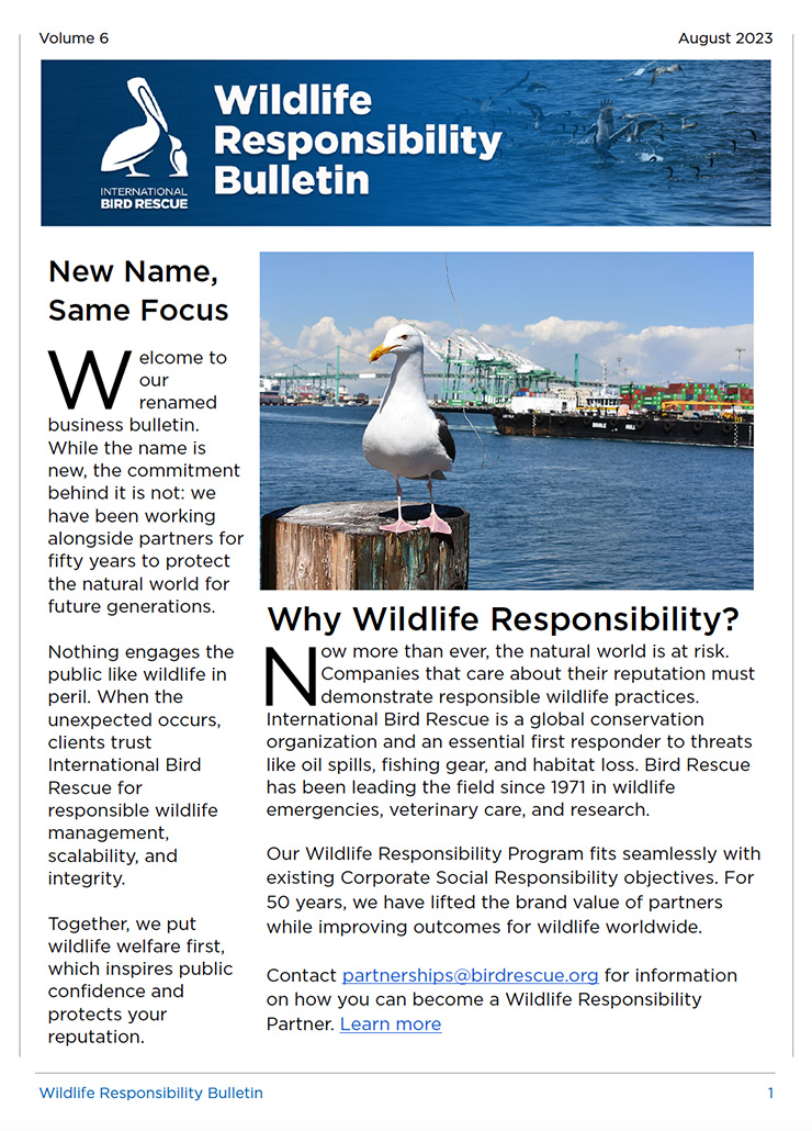 WRP-August-2023-Cover