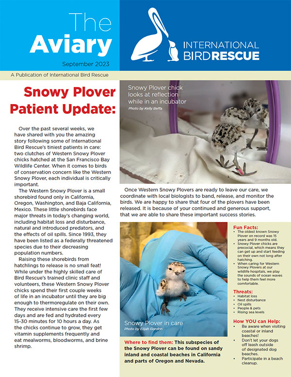 Image of The Aviary newsletter about bird care by International Bird Rescue