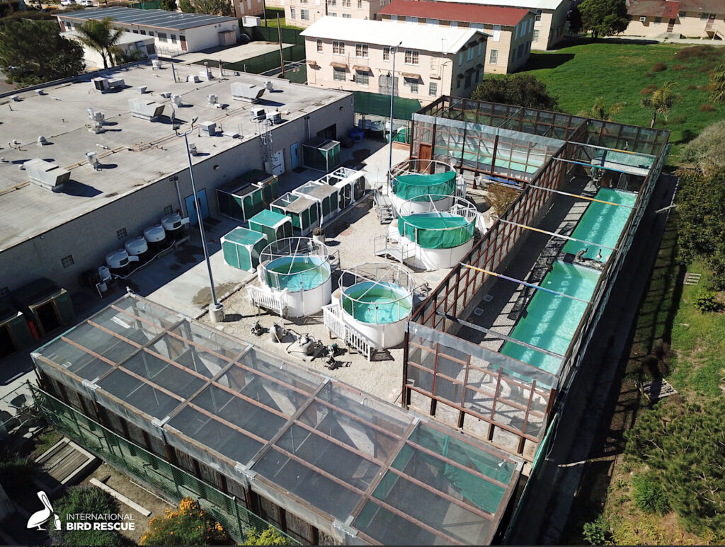 Photo aerial angle of International Bird Rescue's Los Angeles wildlife center in San Pedro, CA
