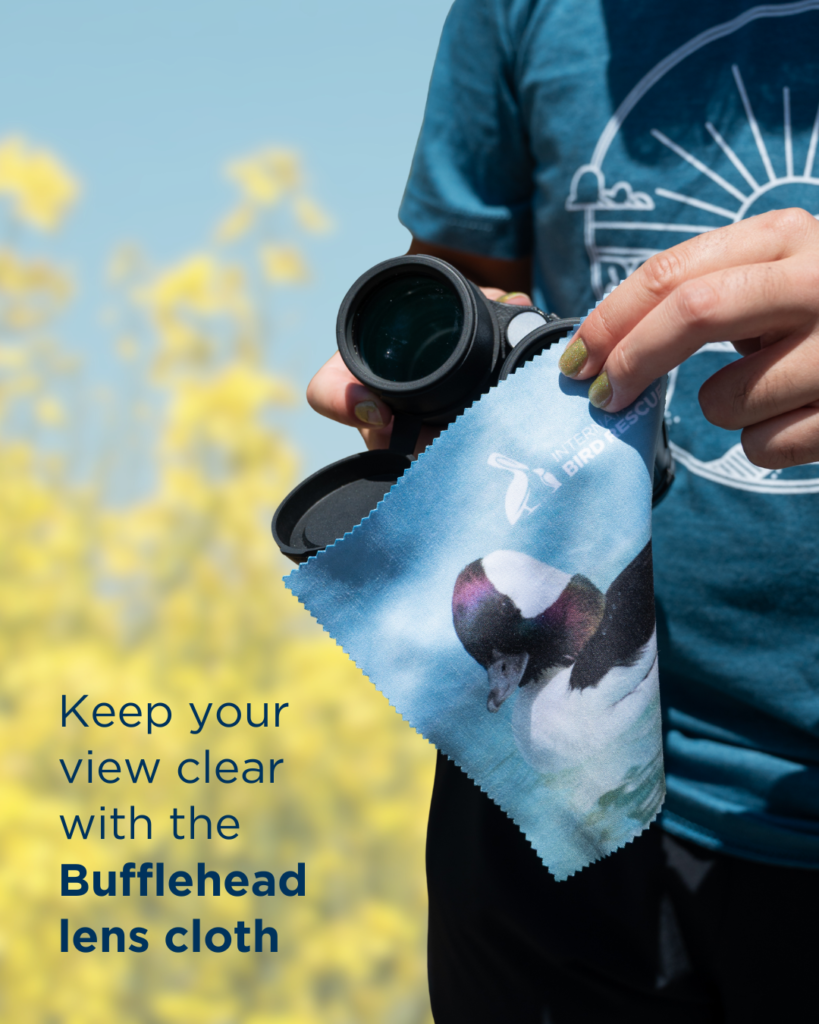 Hand uses Bufflehead lens cloth to clean binoculars