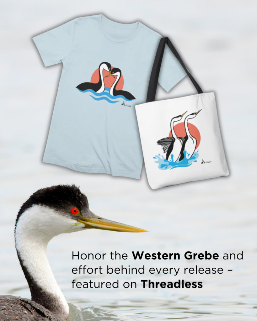 Western Grebe merchandise on Threadless