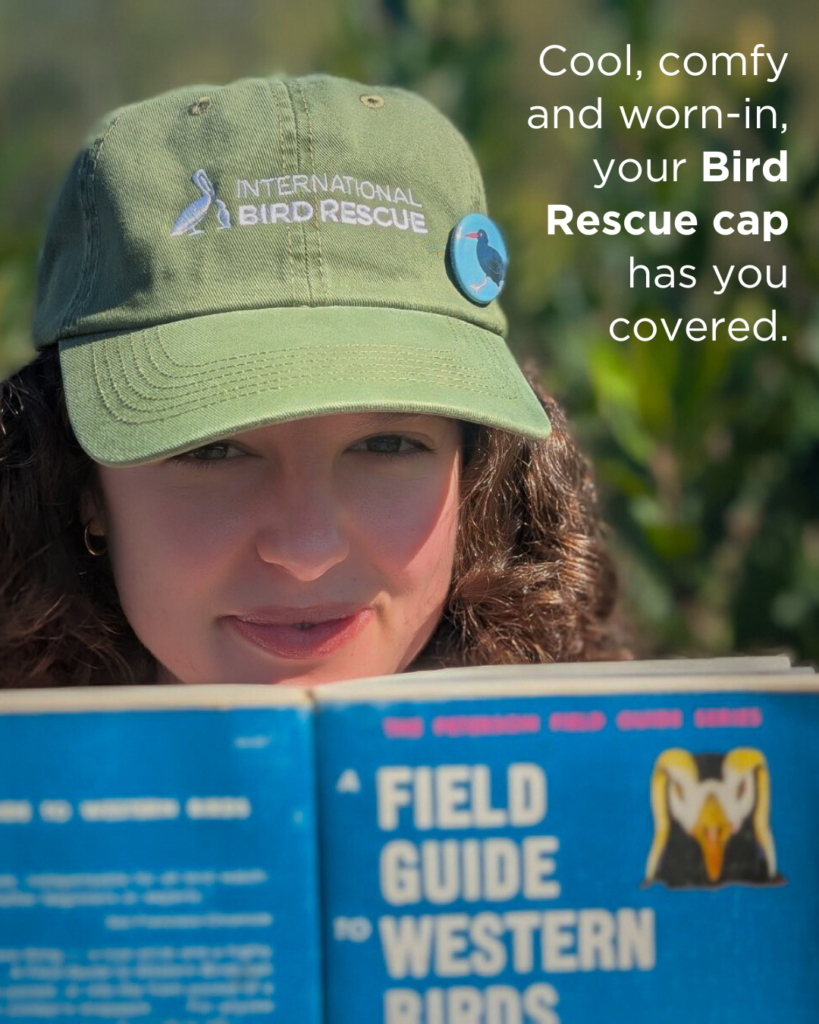 Violet Taylor wears the green logo hat while reading Field Guide to Western Birds