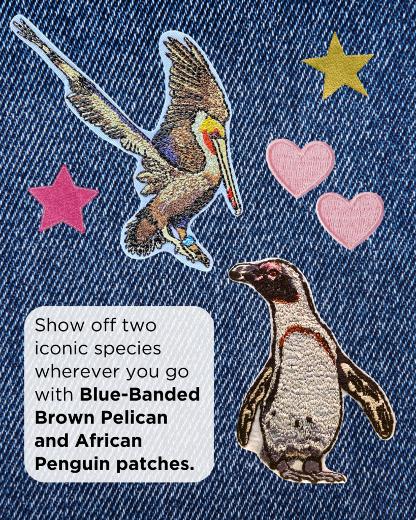 Bird patches featuring Brown Pelican and African Penguin