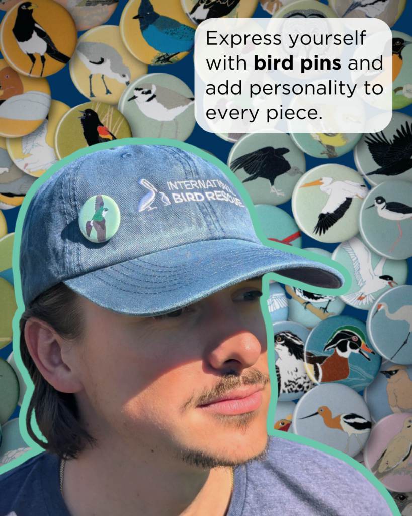 Alex Carver wears blue logo hat with bird pin