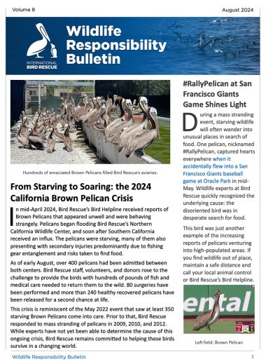 WRB-August-2024-cover