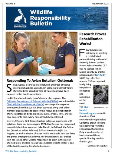 WRB-Cover-Nov-2023